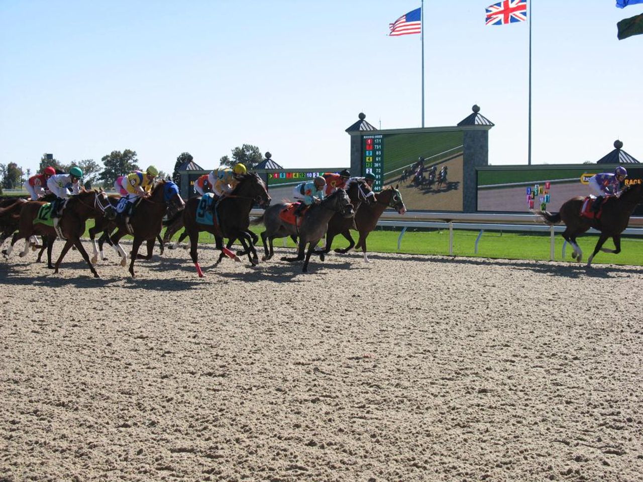 Daily Forecast for Thursday, June 19, 2025, Racing Highlights from Paris-Longchamp: Weather...