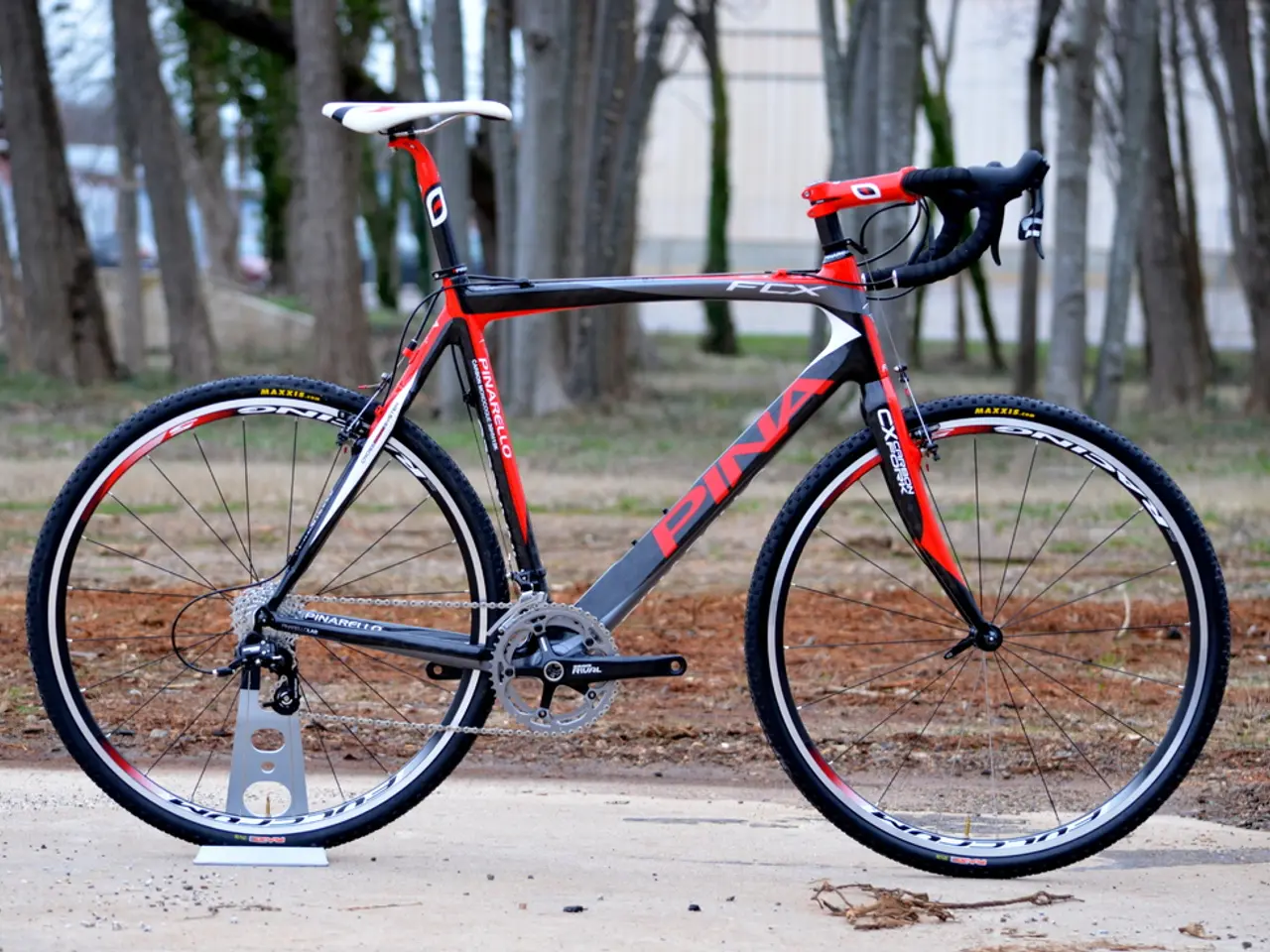 Cyclist Struck by Fallen Tree During Race