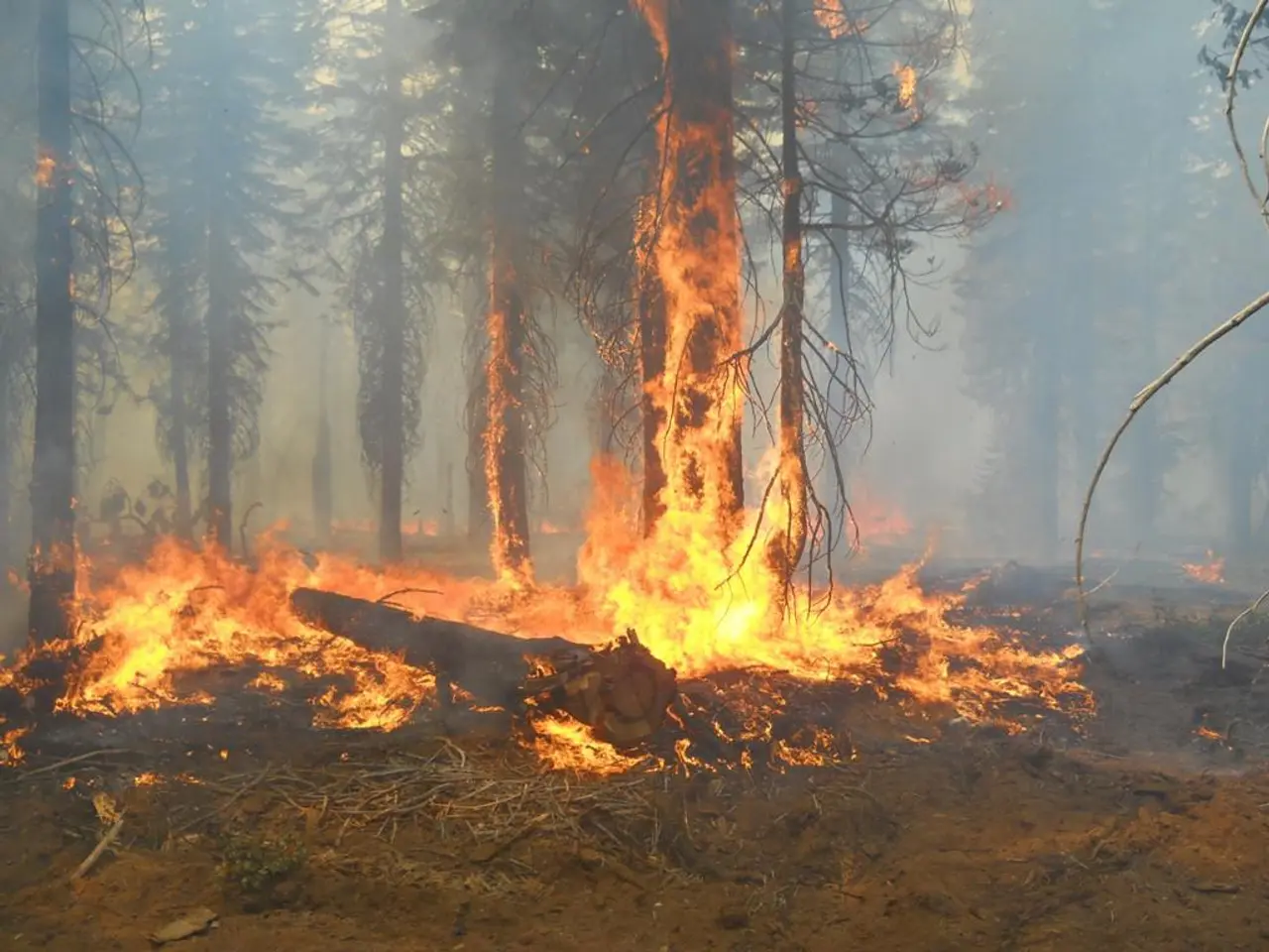 Southern Europe and Turkey encounter a decrease in fires, yet temperatures climb up.