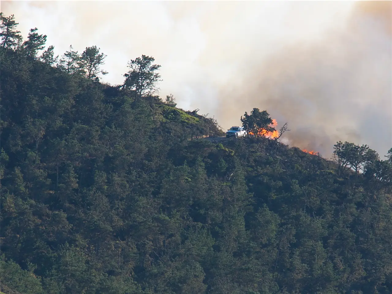Battling persistently to avoid rekindling of France's largest wildfire, firefighters strive as...