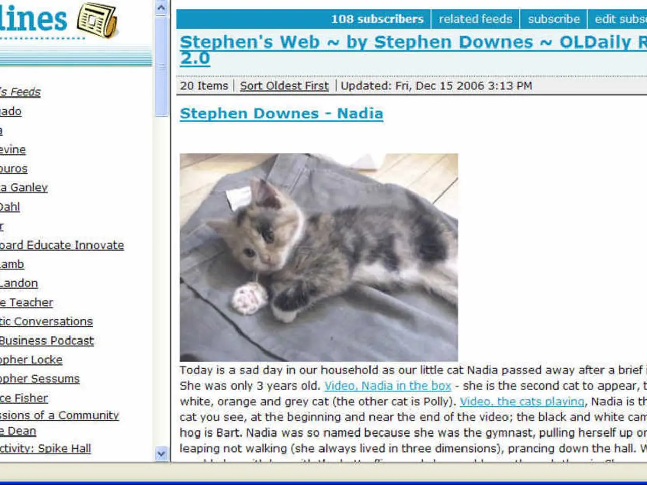 Klöckner advocates for the German Parliament's presence on TikTok, yet apprehensions persist