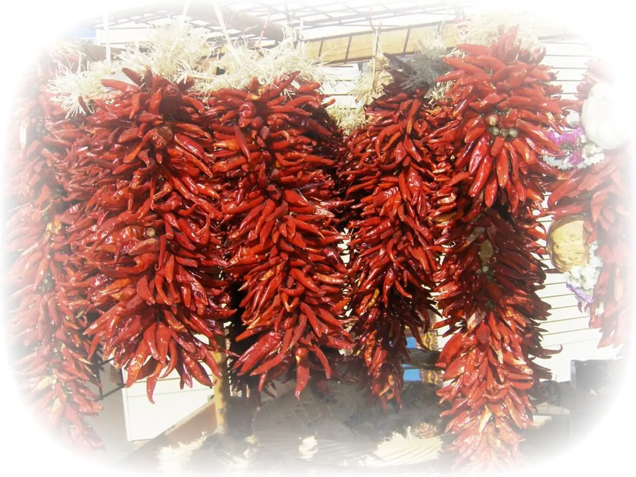 Sizzling Tuesday in Cordoba's capital surpasses 43 degrees, triggering a red warning alert