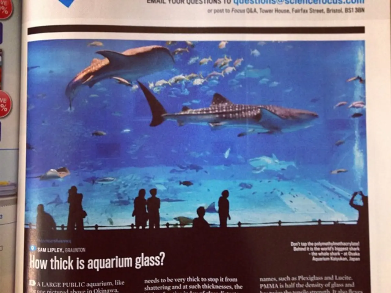 Hearing scheduled for debating impediment of 'Alligator Alcatraz' construction due to ecological...