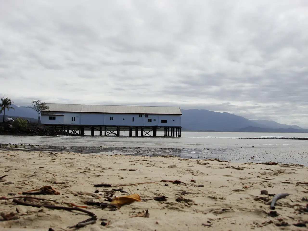 Movie Analysis: Dune: Part Two