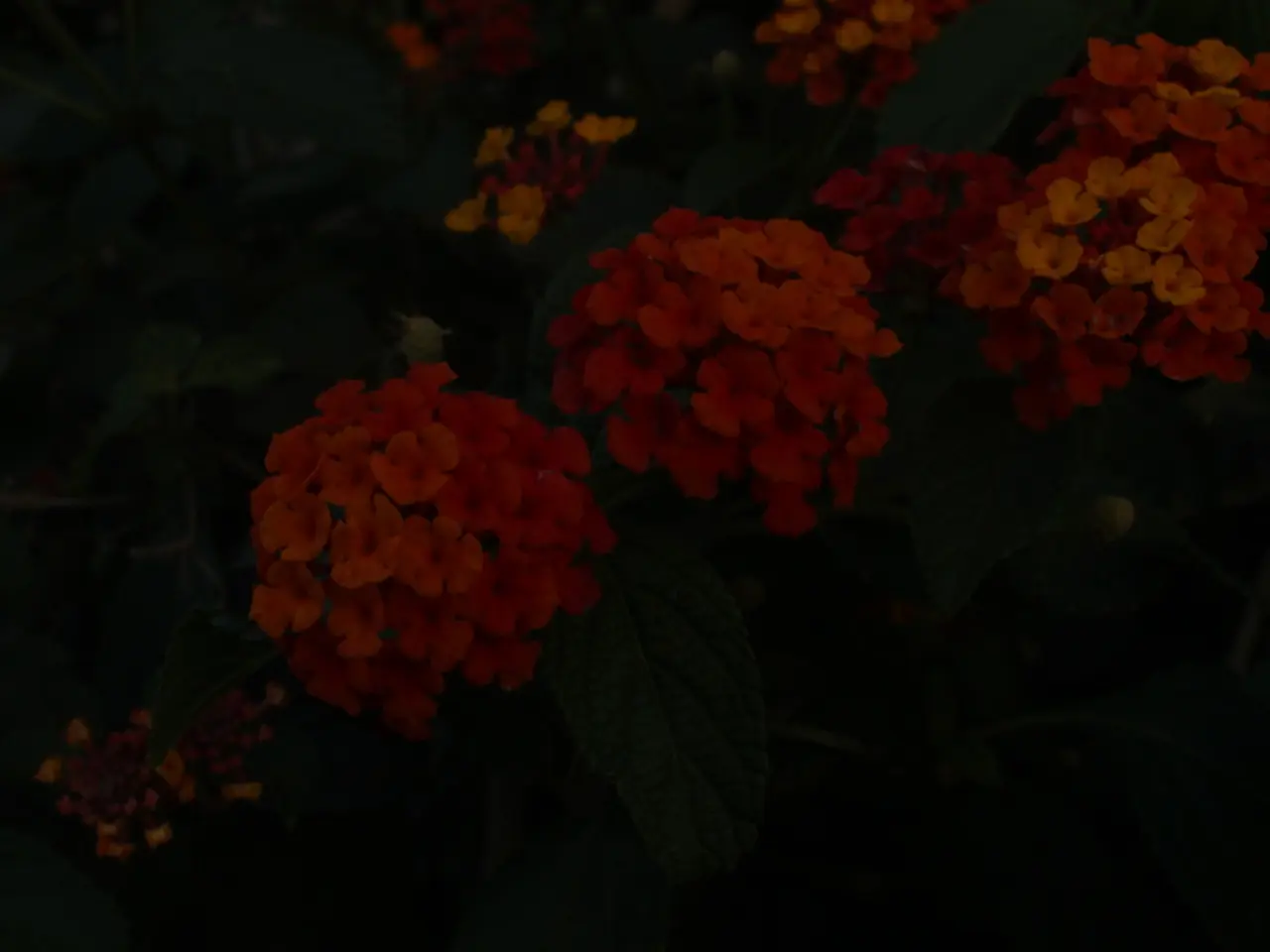 Garo leader brings statehood petition to Delhi, hands over memorandum for Garoland region