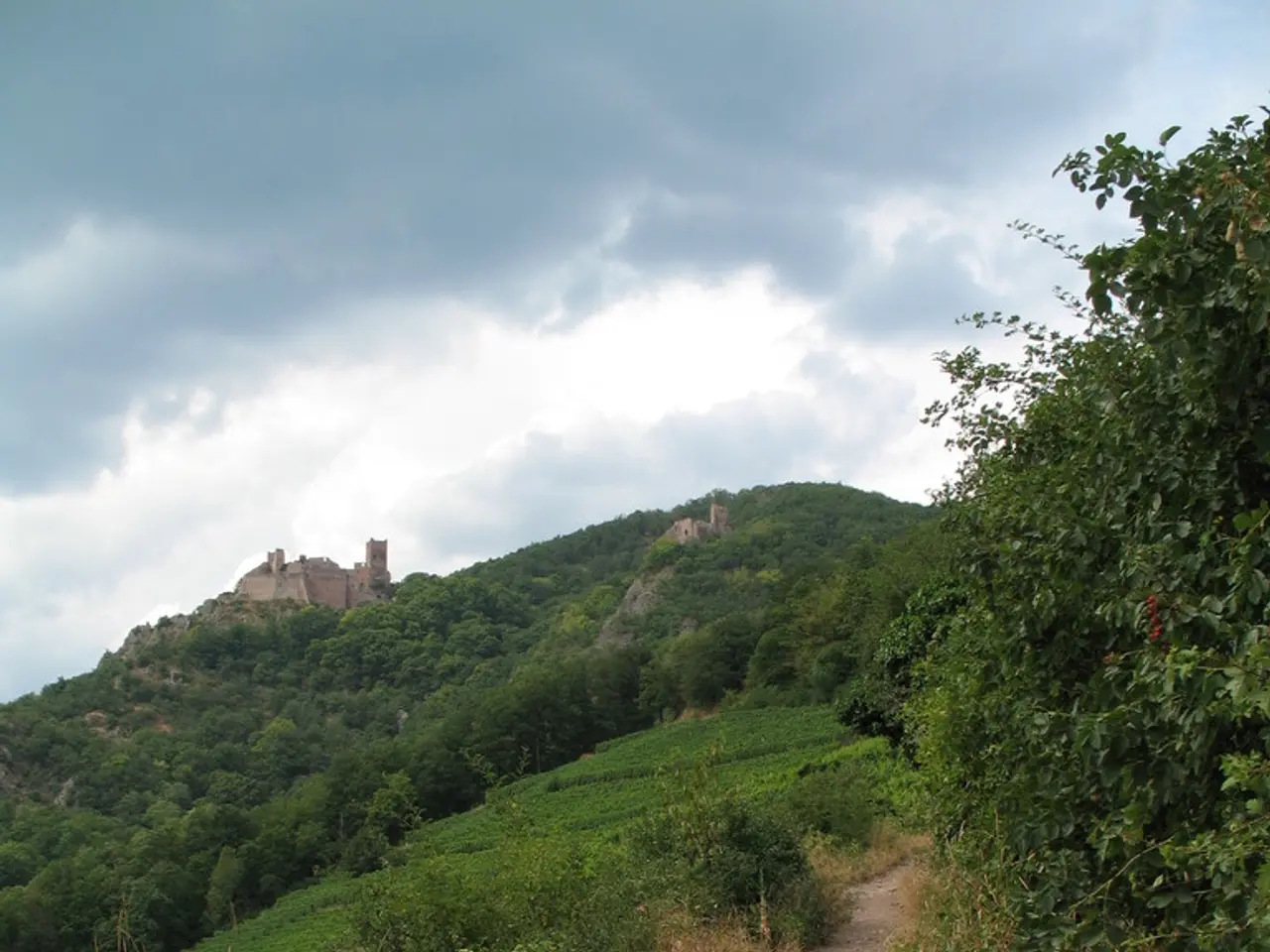 Fabled Realm in the Imaginary Universe