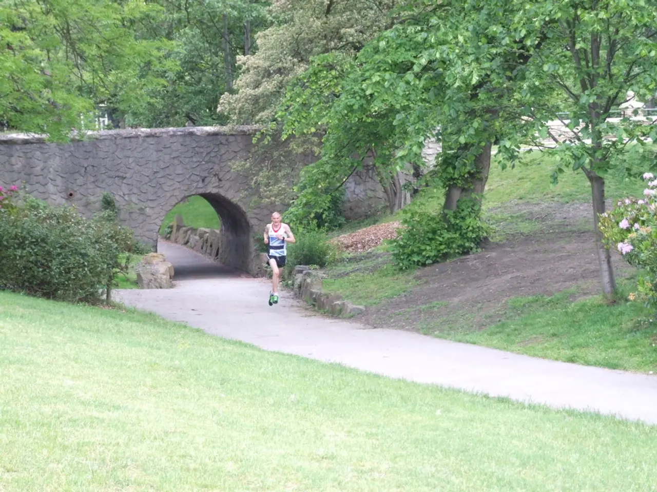 Ultra runner Tara Dower breaks overall speed record on Vermont Long Trail: covers 273 miles in...