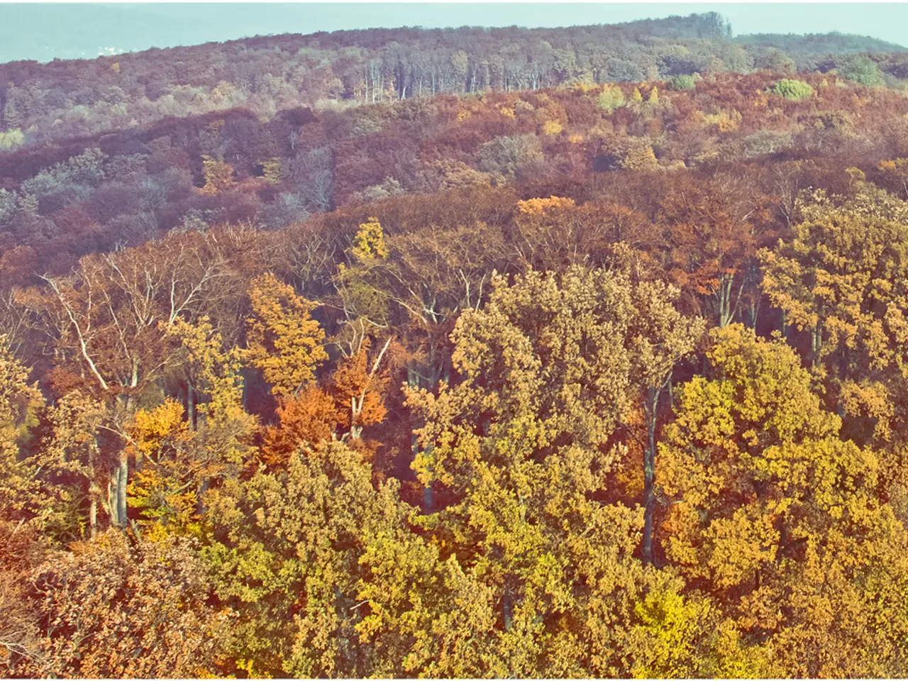 Eliminate property taxes advocated by MTG, who denounces health insurance as a 'massive swindle'