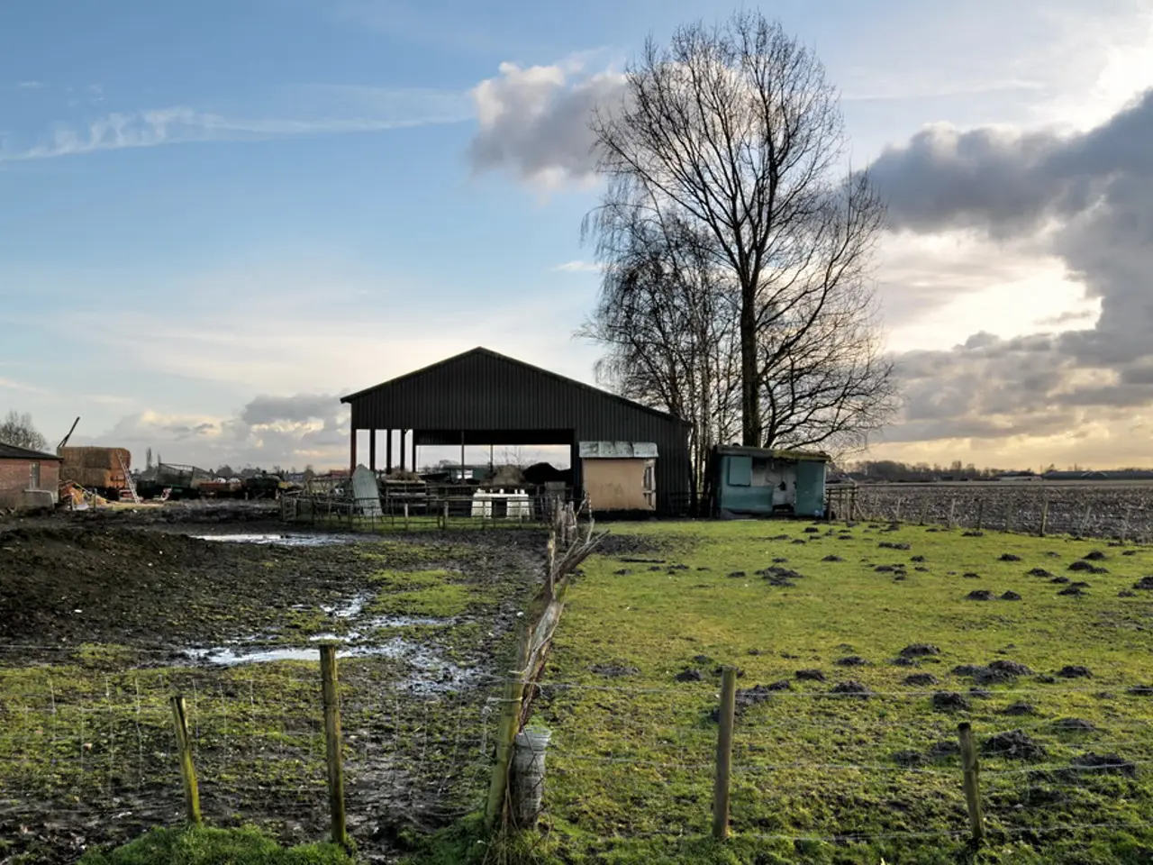 England enforces Biodiversity net gain regulations