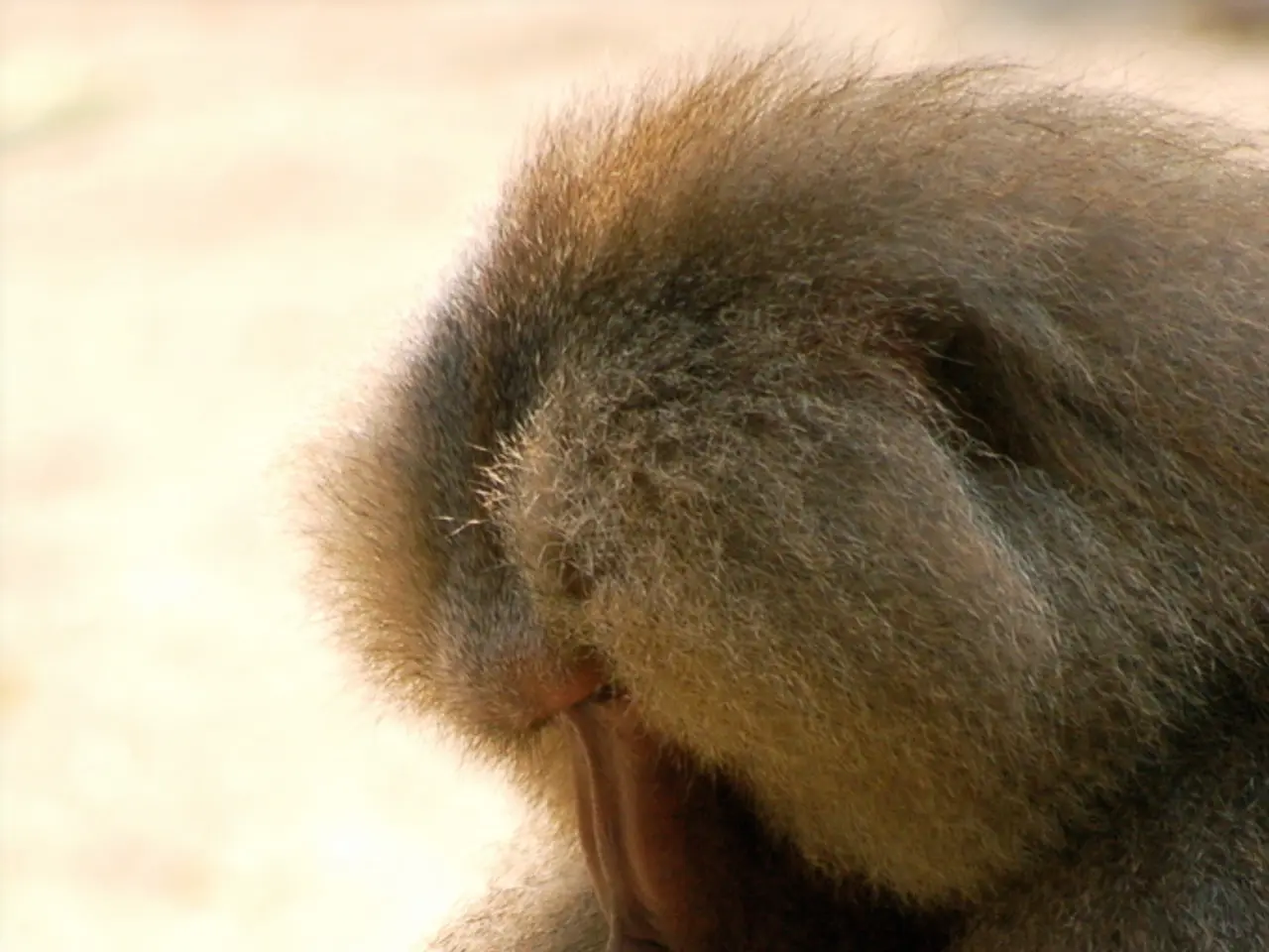 Returning once more, those counterparts of the present day, not particularly delightful