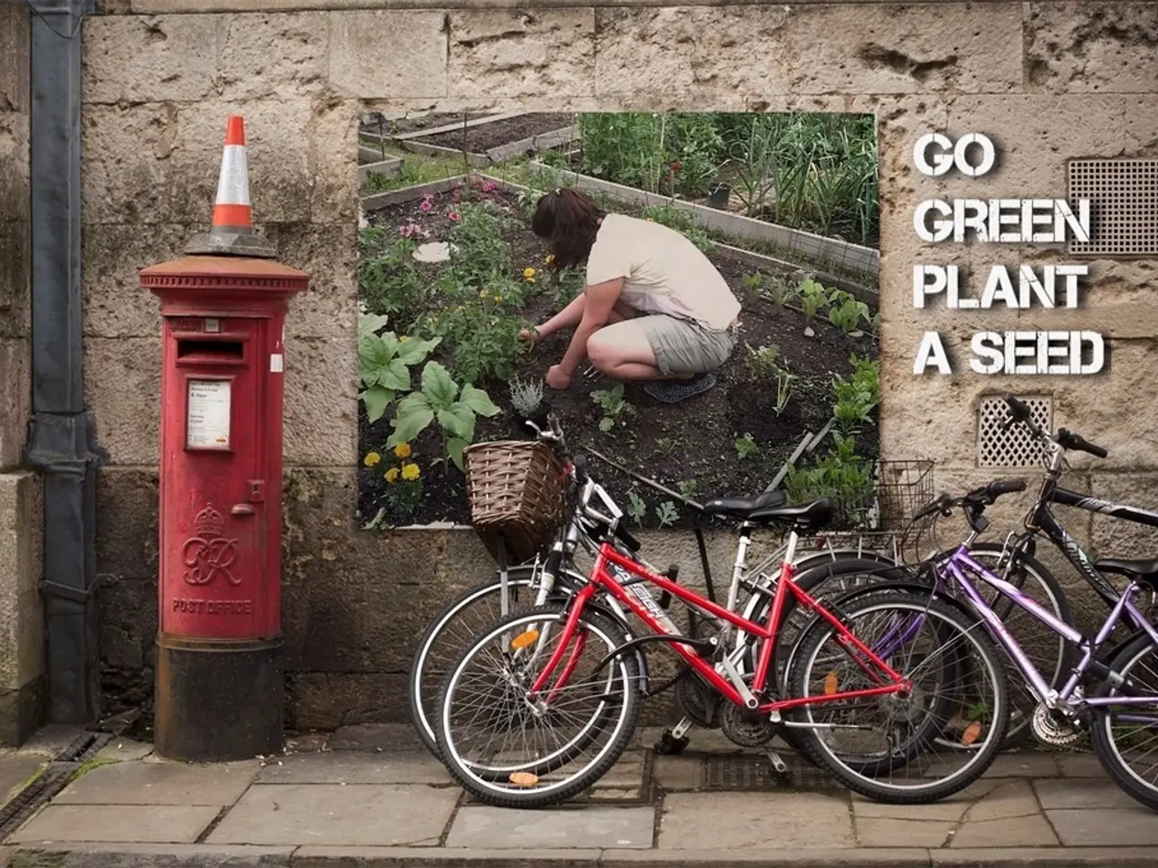 Professional cyclists should also undergo periodic testing, as motor racing drivers do.