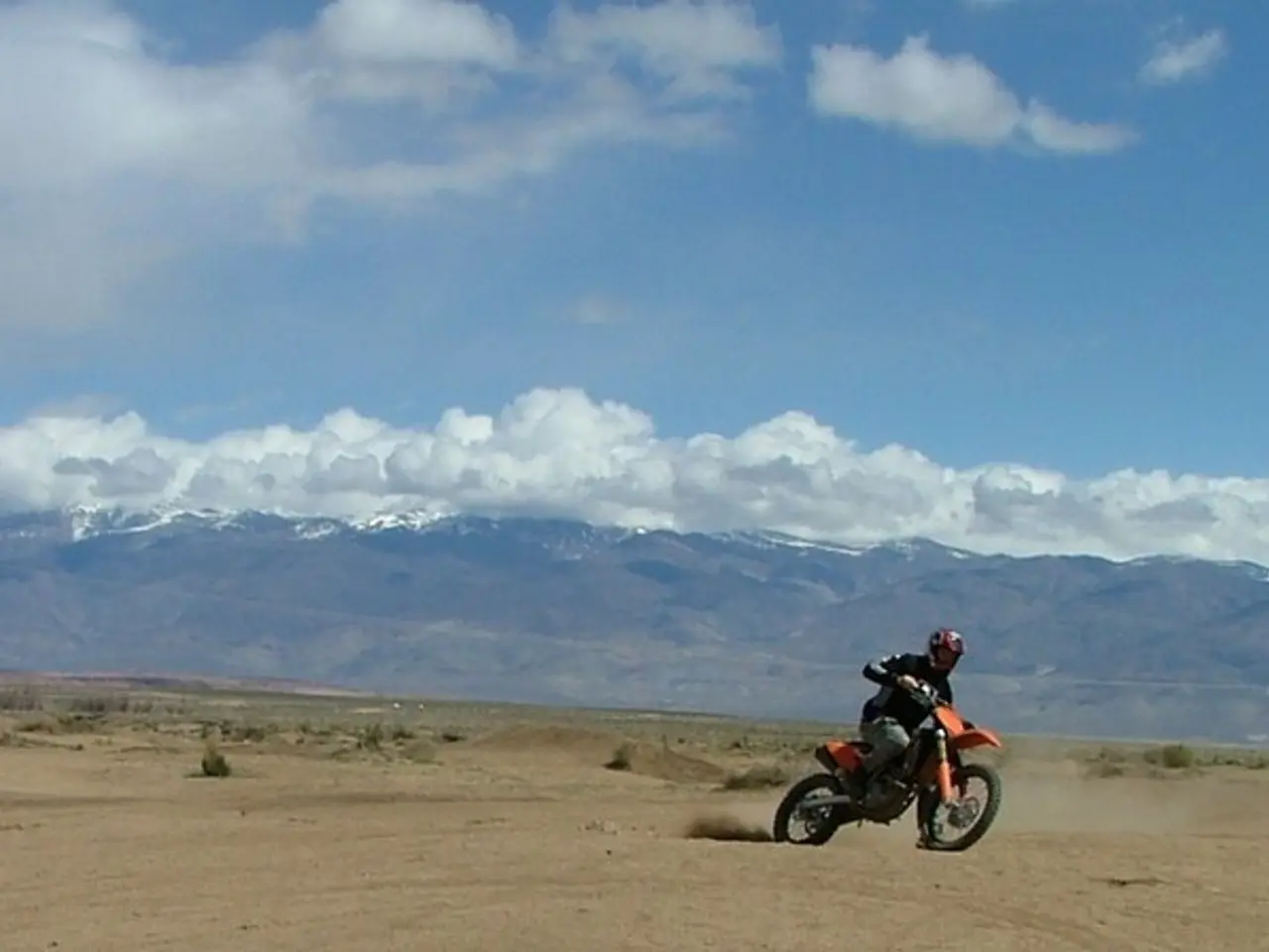 Joining the candidacy for the Black Swamp election campaign