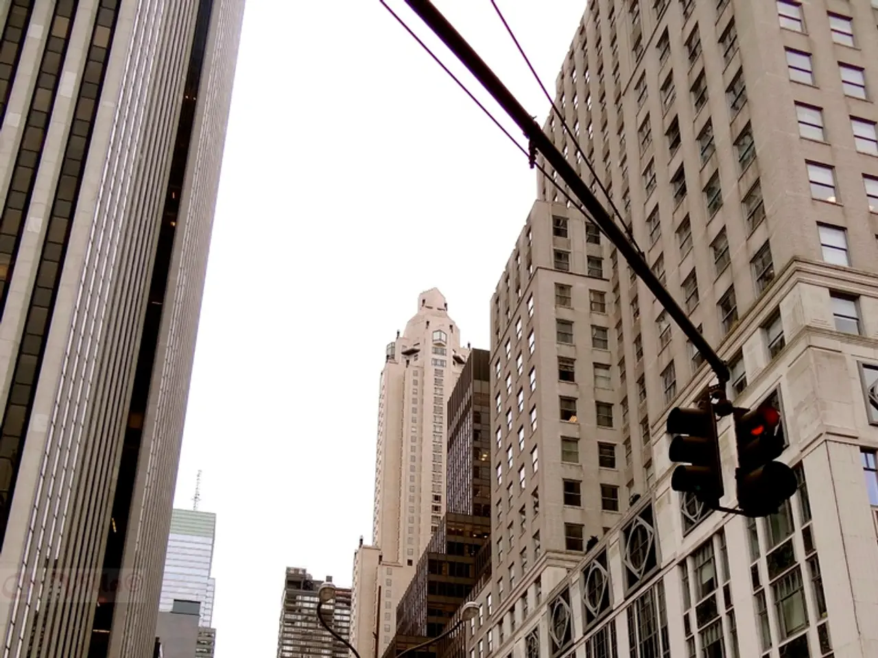 Minister advocates for streamlining bureaucratic procedures in digital sector