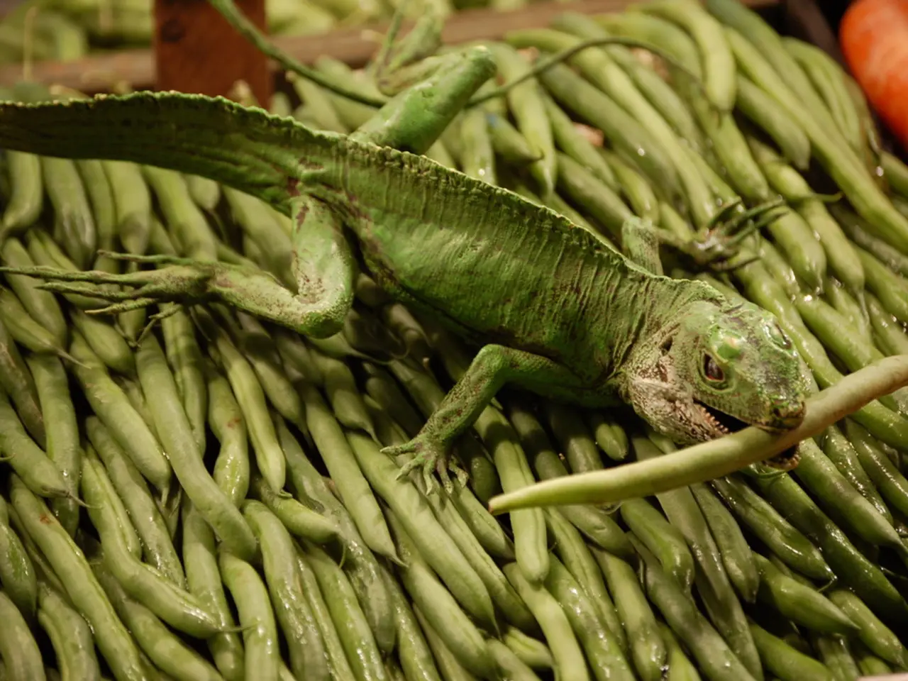 "Breaking ground on 'Super Troopers 3': Brian Cox, Chace Crawford, and more team up with the Broken...