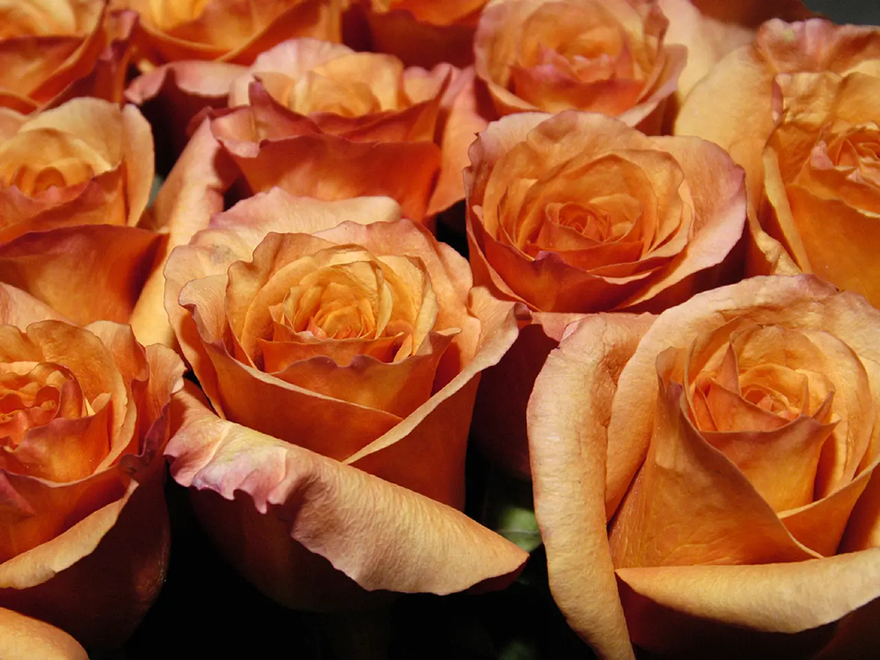 K-pop sensation Rose from the group BLACKPINK achieves a notable accomplishment with the release of...