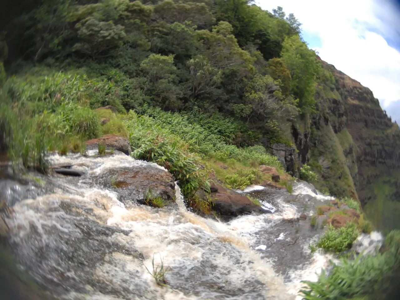 Scant rainfall persisted in Wuppertal during August