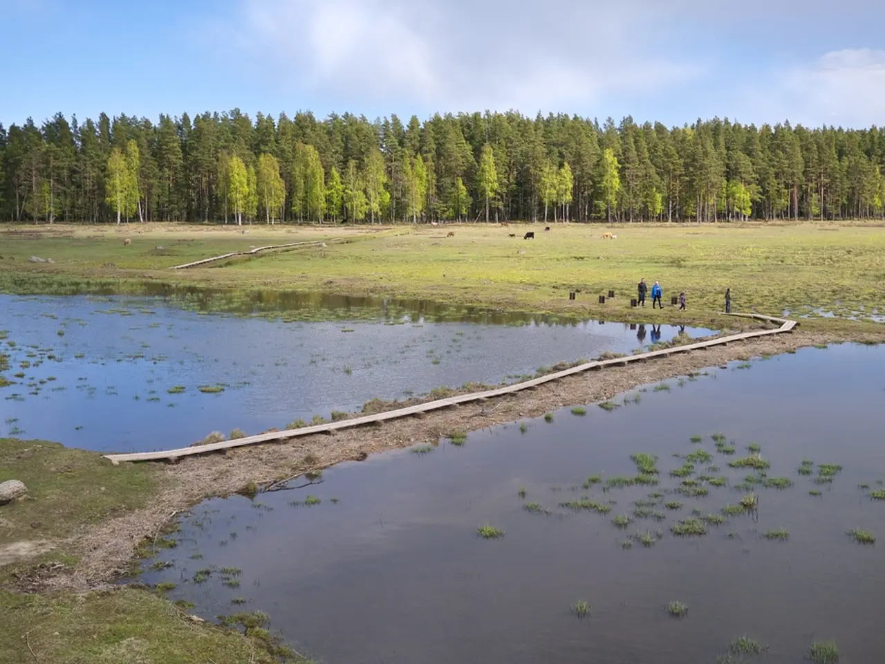 Mind-bending optical illusion image challenges perception and reality