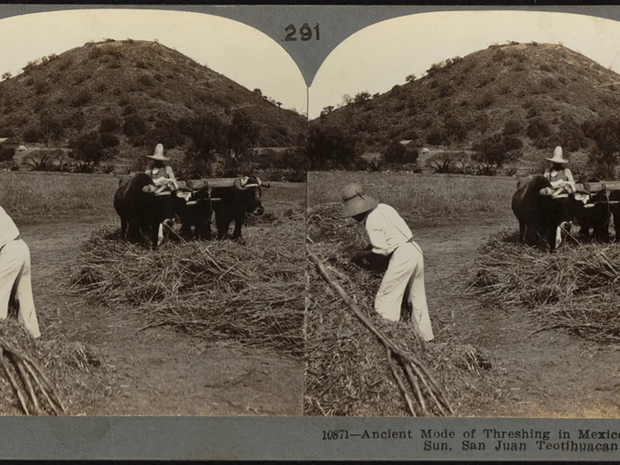 Unstable quarterback predicament under the scrutiny in Colorado's match against Wyoming