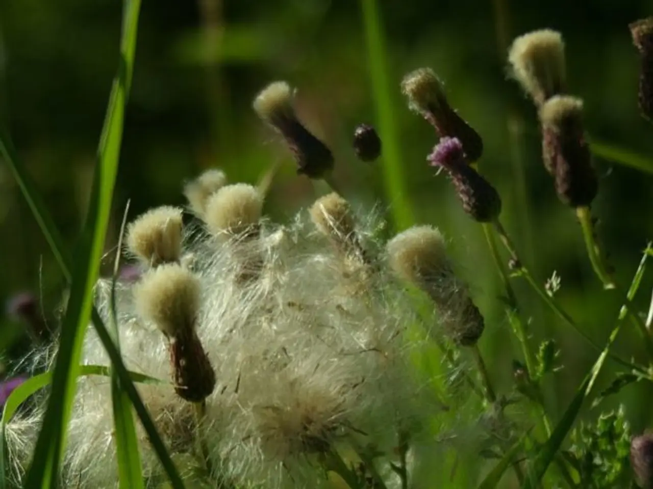 Agricultural policy initiatives have already been implemented by the Commission to guarantee their...