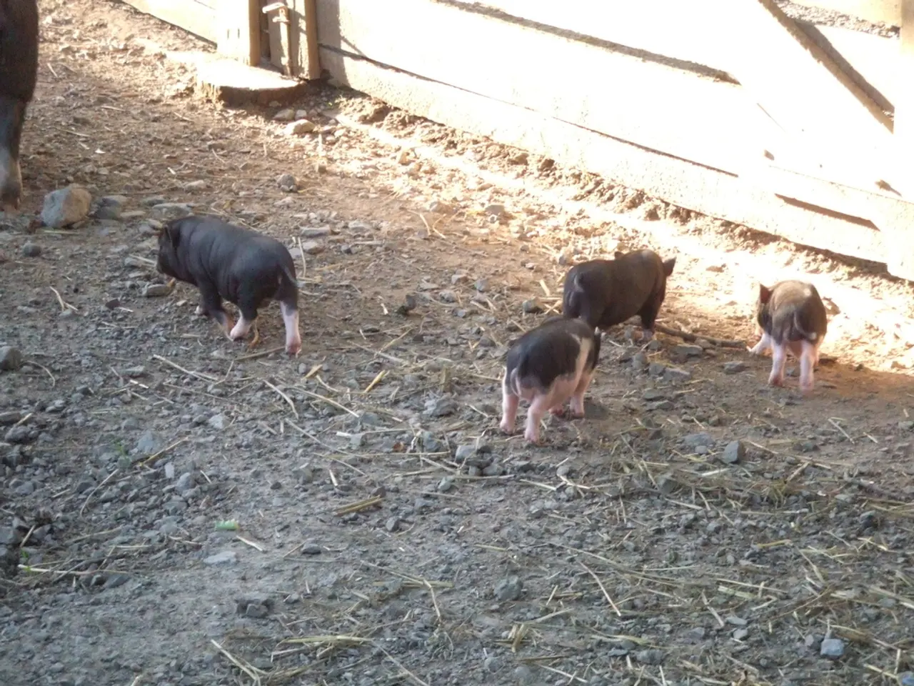 Motorway Patrol's Latest Update