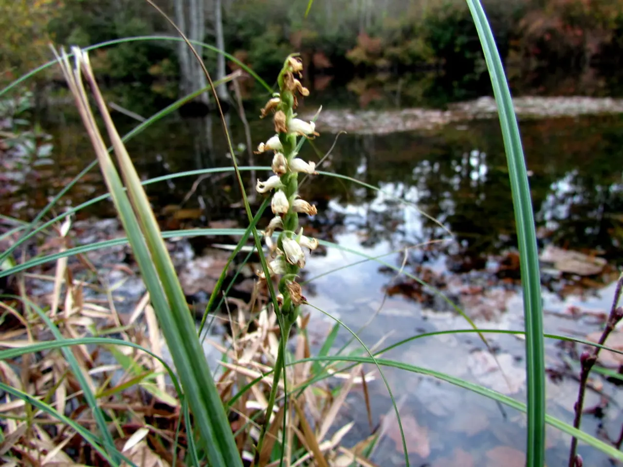 Forecast predicts increased rainfall on Friday in Minnesota, followed by diminishing moisture...