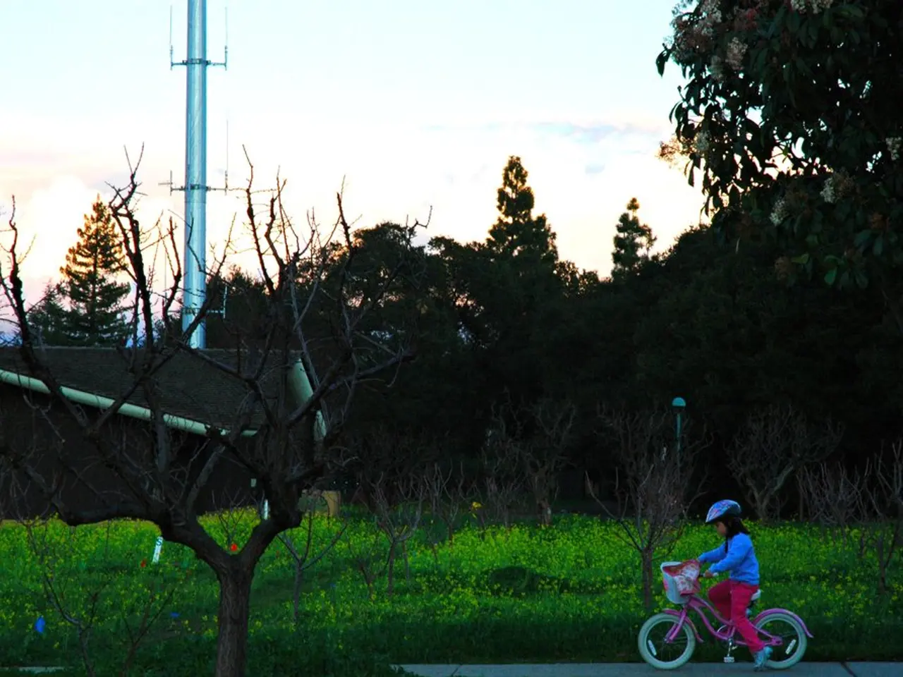 In this image in front there is a girl cycling on the road. Behind her there are plants. In the...