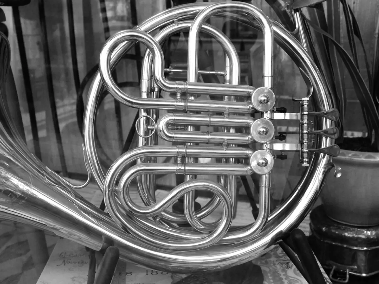 In this picture it looks like the saxophone in the middle, on the right side I can see the plants.