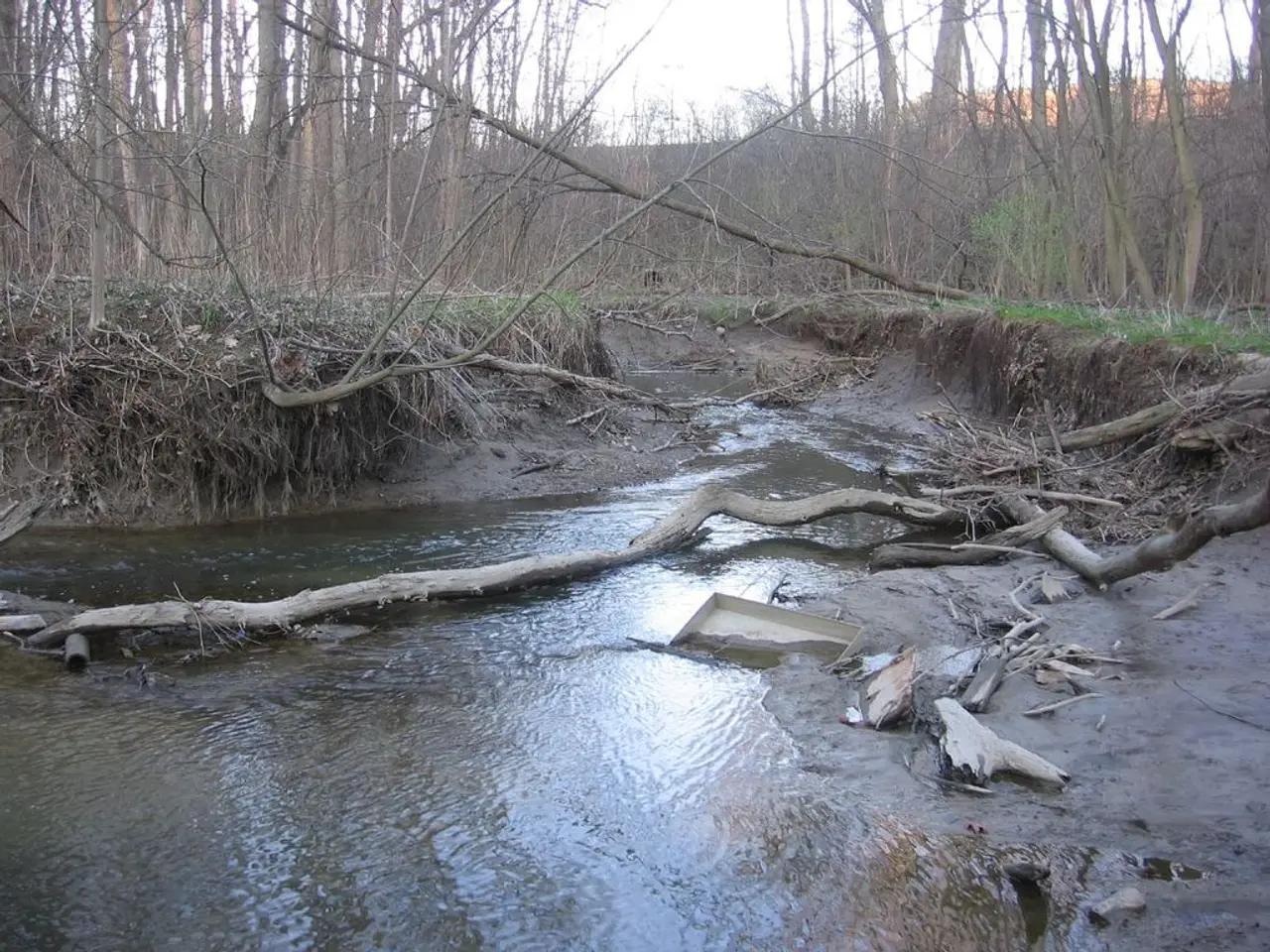 In this image we can see water, trees, wood, ground, hills and sky.