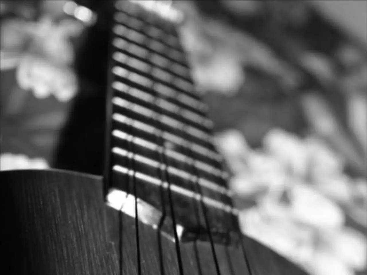 This is the image of the musical instrument.