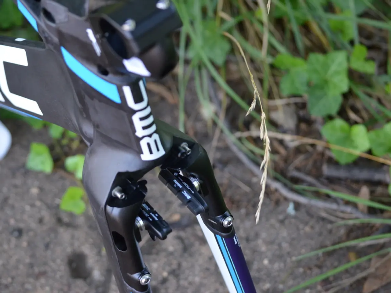 In this image there is road towards the bottom of the image, there are plants towards the top of...