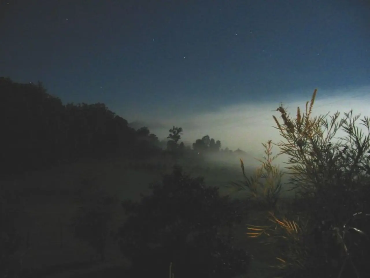 This image is taken during the night time. In this image we can see the trees, sky, clouds and also...