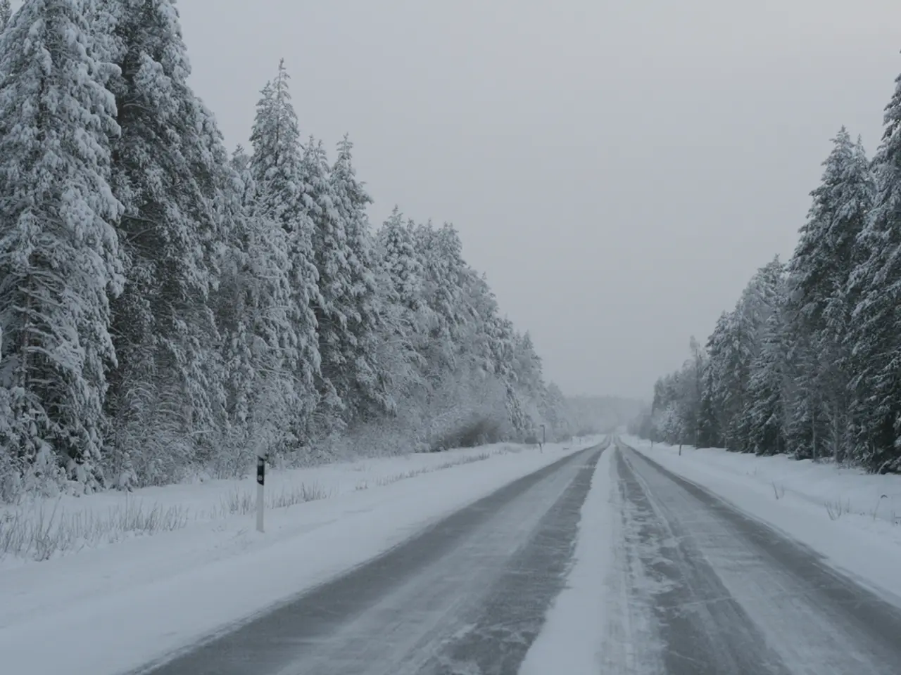 As we can see in the image there is snow, trees and sky.