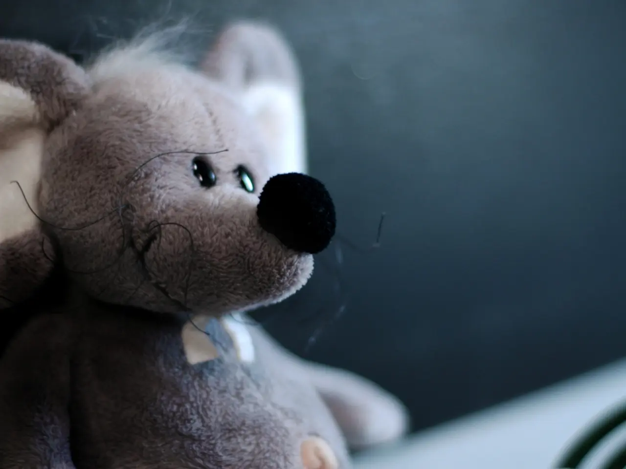 In this image there is a doll.