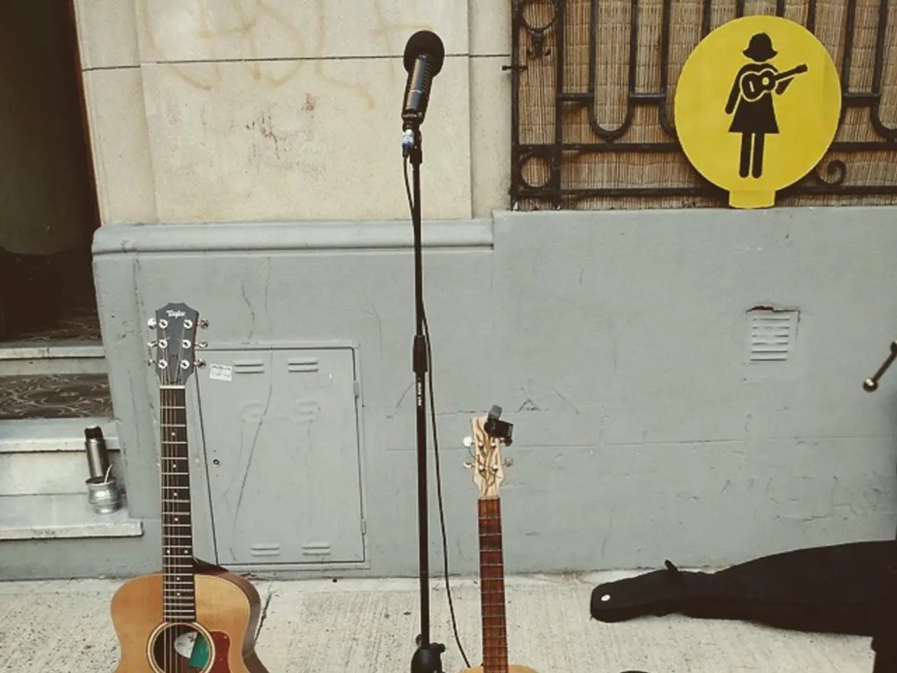 This is a sign board. A mic with mic holder. This are guitars on floor. This is a bag. These are...