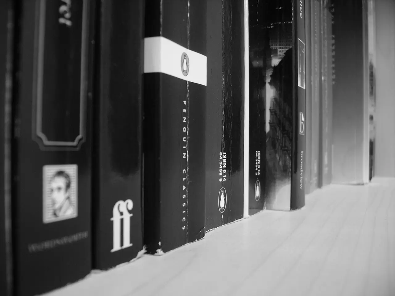 In this black and white image, we can see some books in order.