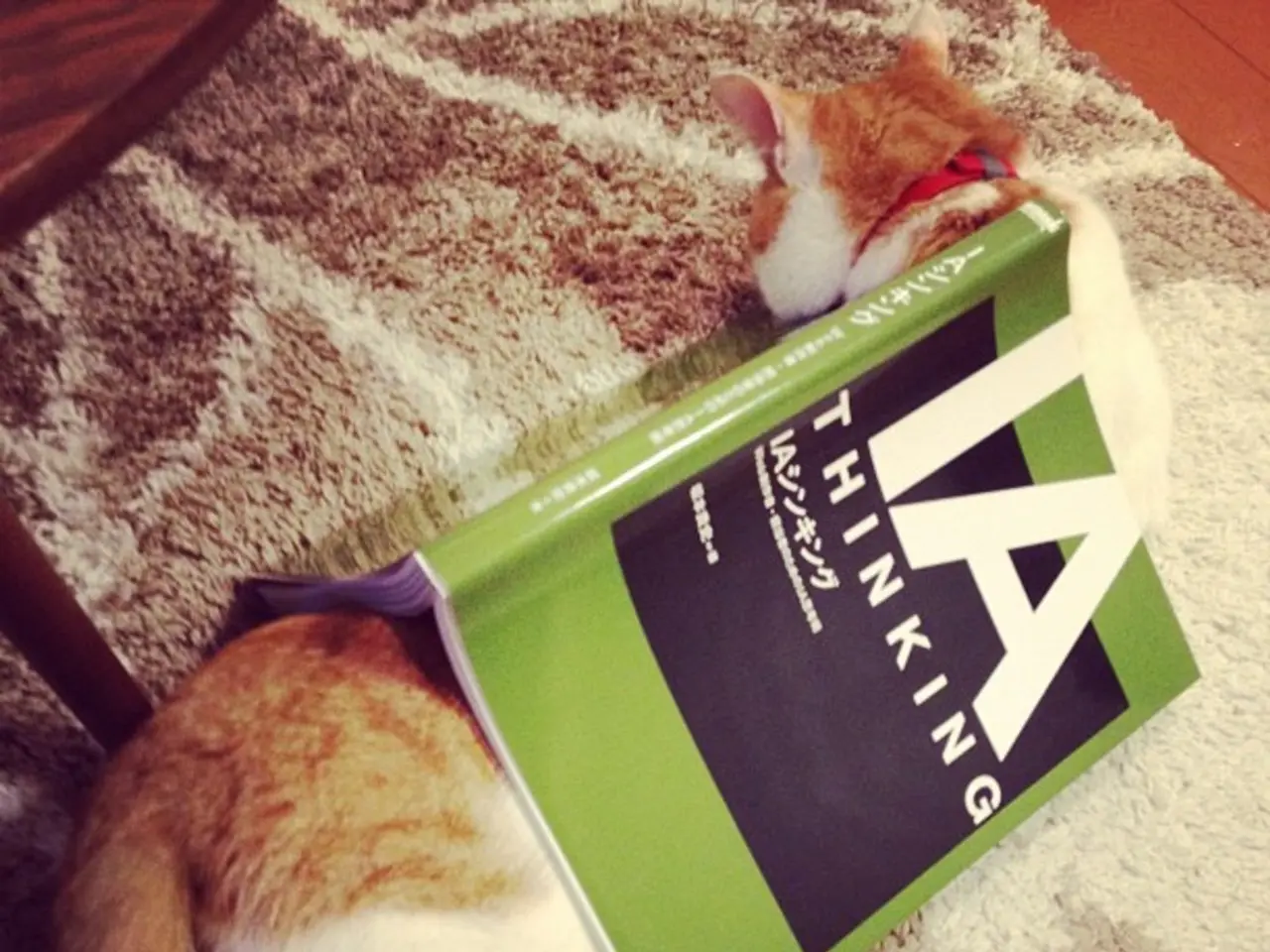 In this image we can see a cat on the mat and there is a book on the top of the cat.