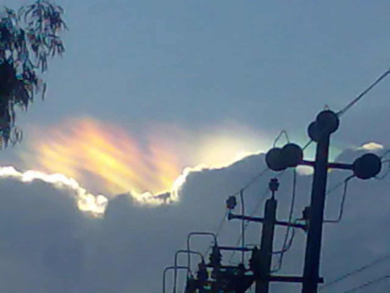 In this image, we can see electrical poles. There is a branch in the top left of the image. There...