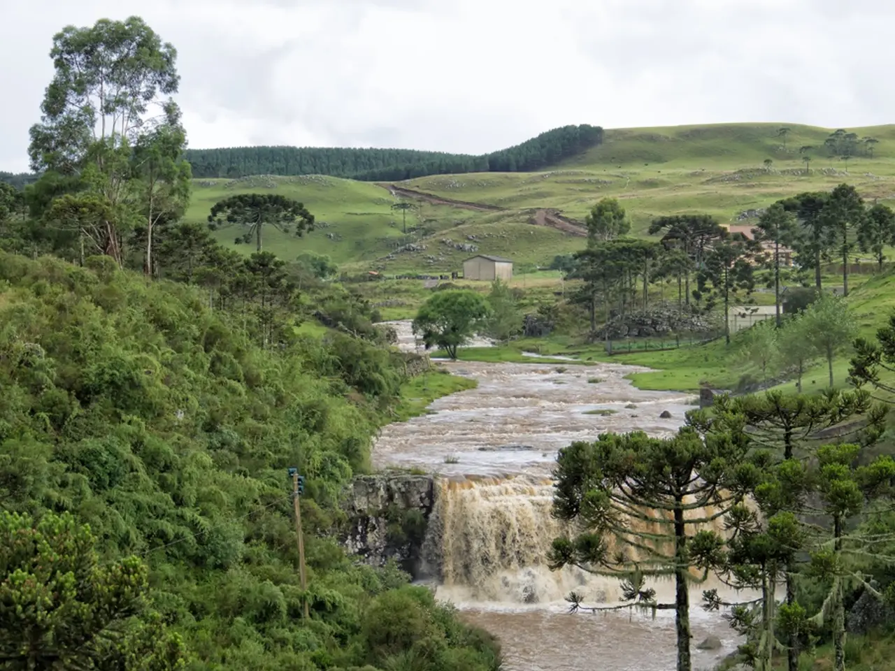 In the foreground of this image, there is water fell. On either side, there are trees. In the...