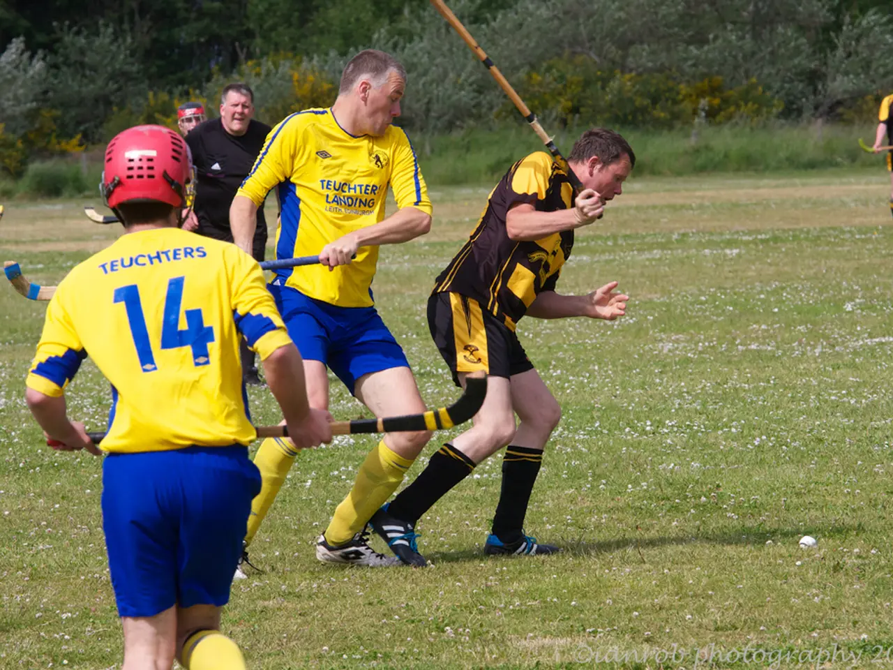 There are people playing hockey in the foreground area of the image on the grassland, there are...