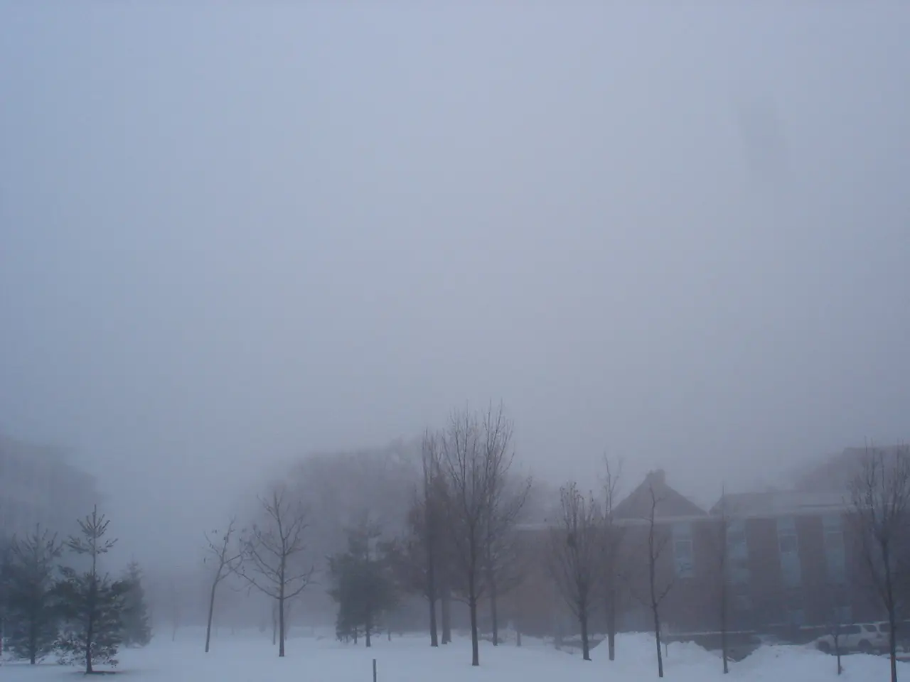 In this image in the center there are trees and in the background there is a building and there is...