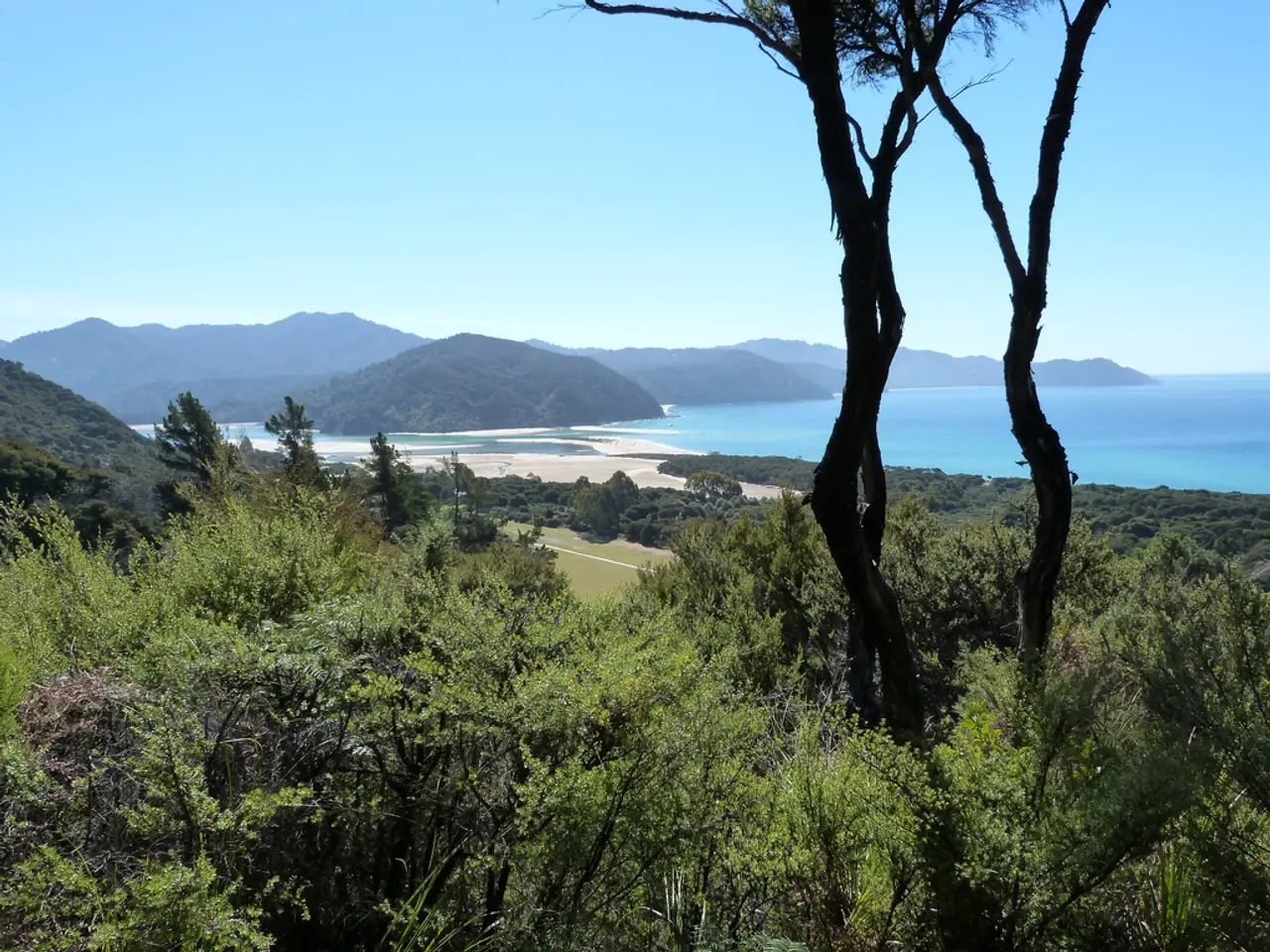 This picture shows few trees and we see water, hills and a blue cloudy sky.