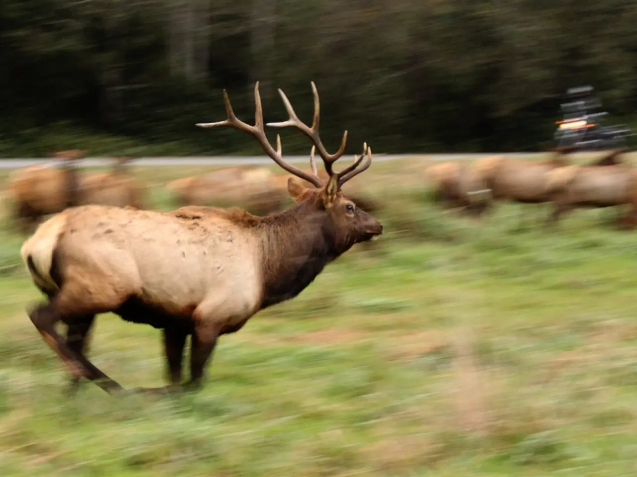 This image is taken outdoors. At the bottom of the image there is a ground with grass on it. In the...
