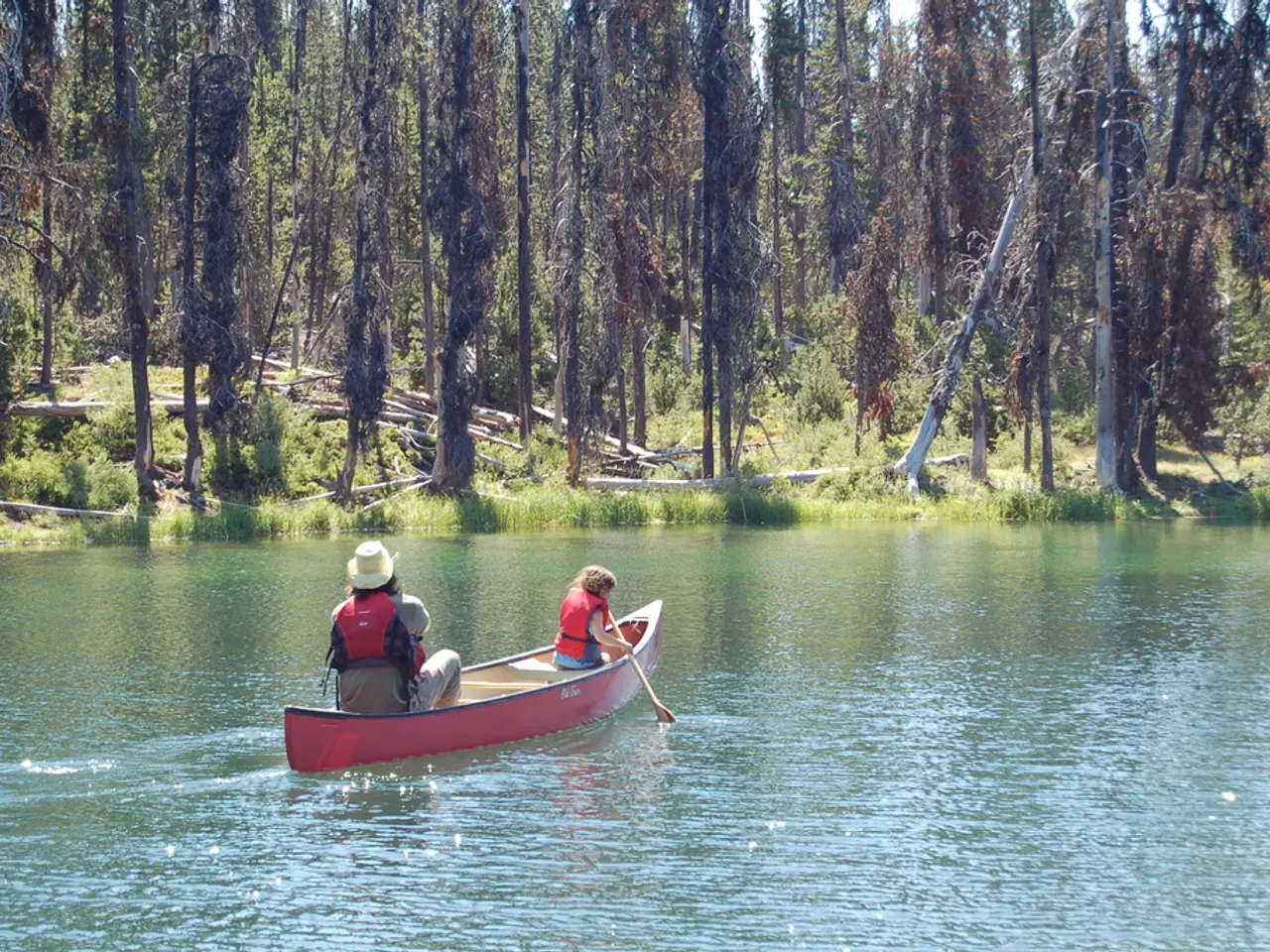 In this picture there is a man and a woman, in a boat, by holding ears in their hand and the boat...