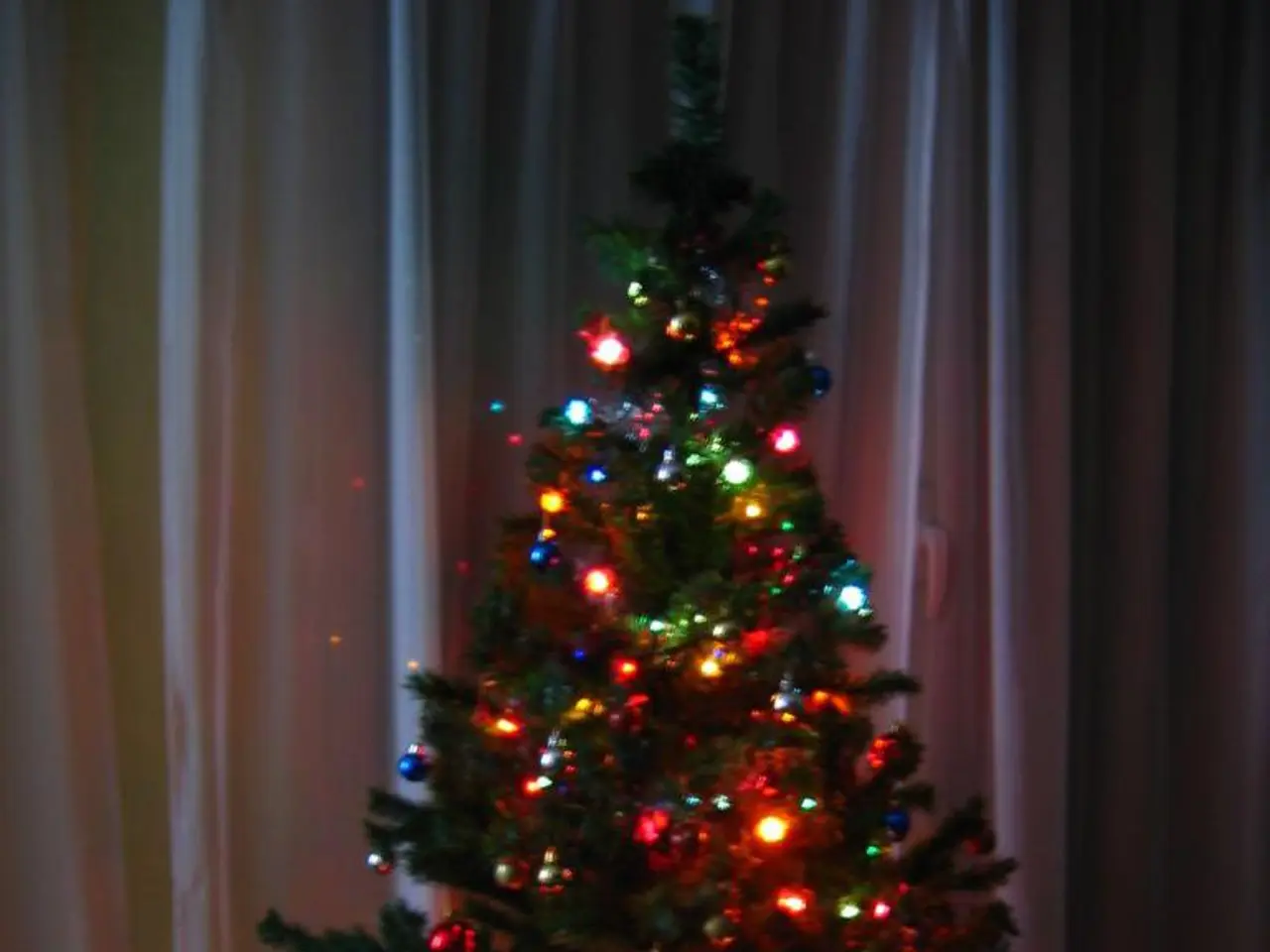 In this image we can see there is a Christmas tree with decoration of lights. At the back there is...