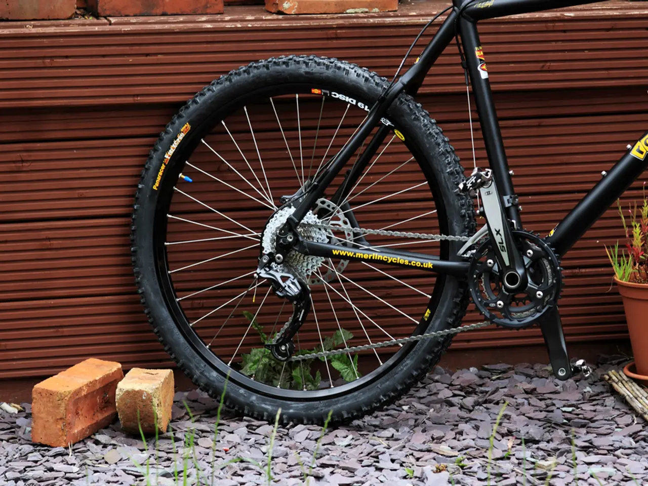 In this image there are bricks, rocks, plants, wall and bicycle.