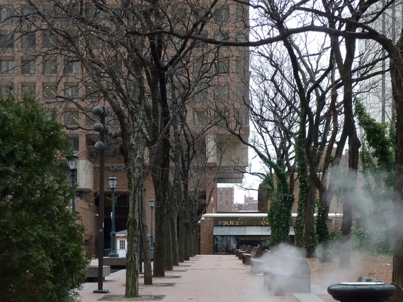 In this image there is a path in the middle. There are trees on either side of it. In the...