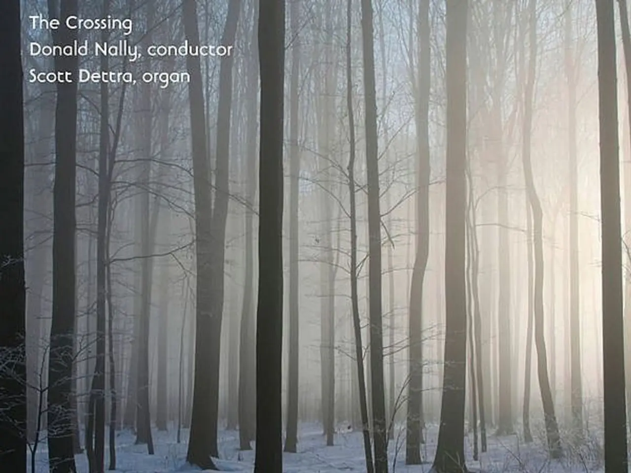 In this image there are many trees. On the ground there is snow. In the top and bottom there are...