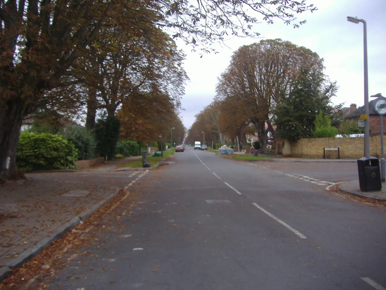 In this image there are a few vehicles on the road, on the either side of the road on the pavement...