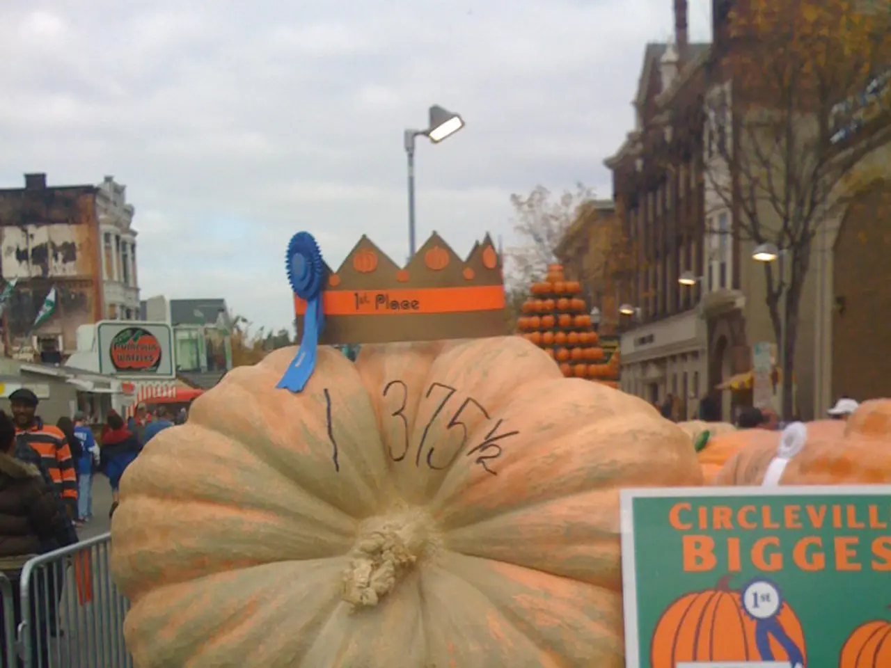 In the center of the image there is a pumpkin on the vehicle. In the background we can see...