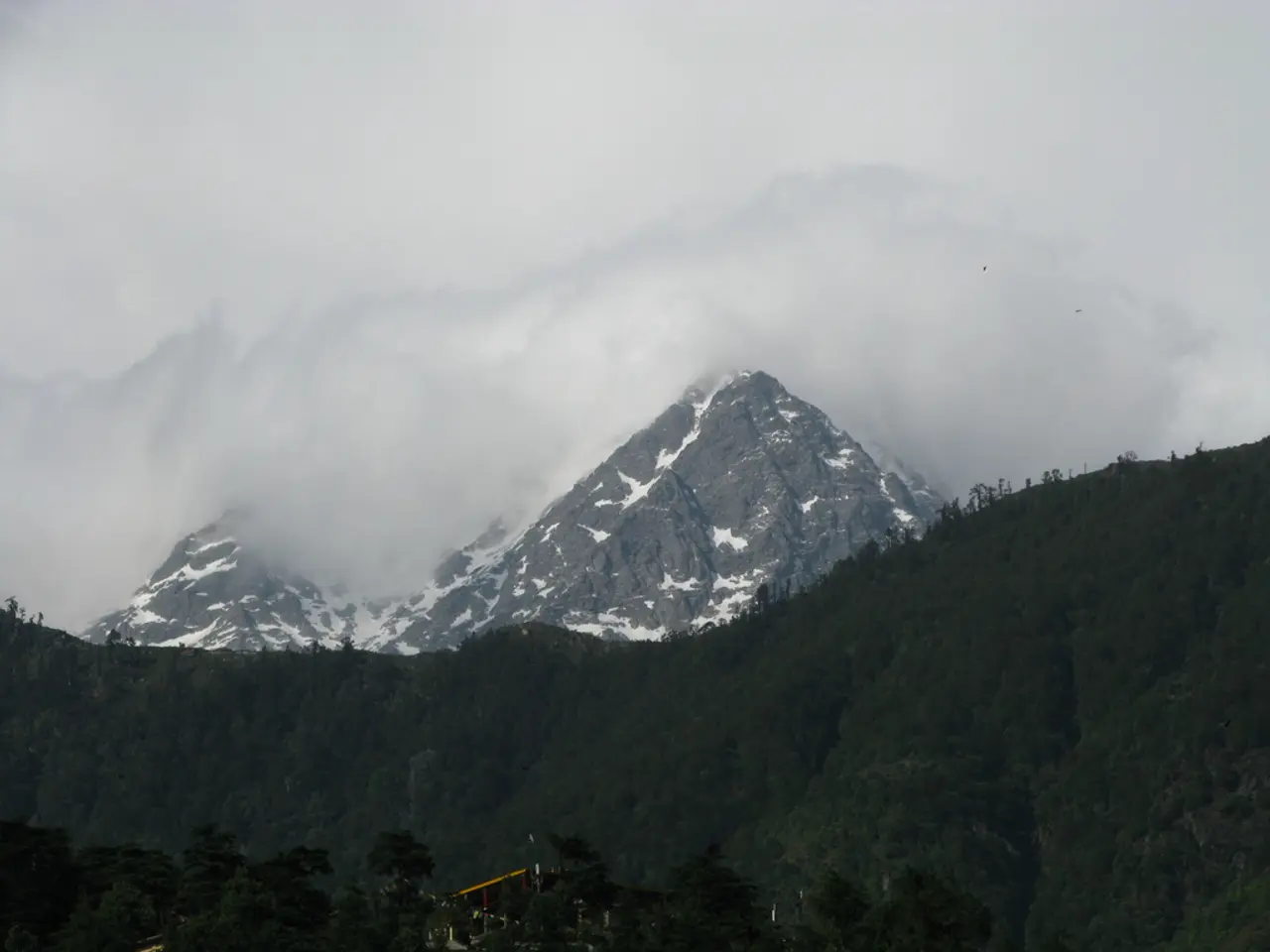 In this picture we can see trees, hills, snowy mountains and fog.